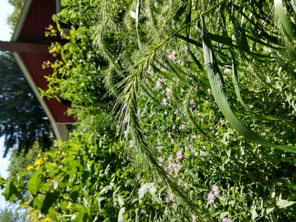 Furthering Diversity Second Virtual Tour Kettle Moraine Land Trust