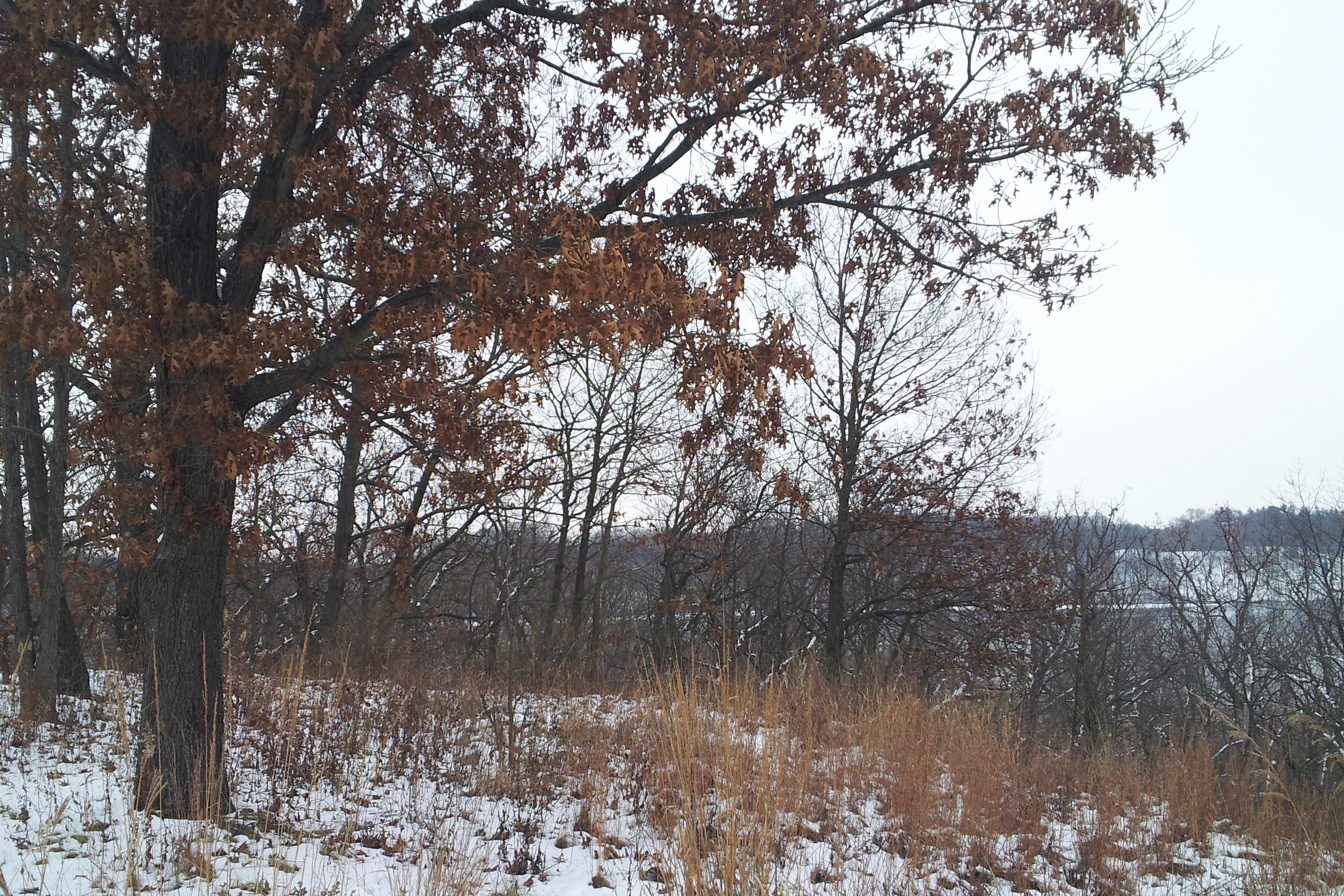 A Great Way to Help the Kettle Moraine Land Trust and Save Money