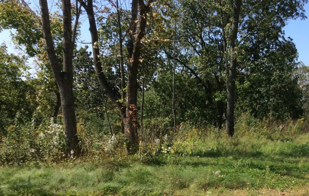 Walk and Talk at Beulah Bluff Preserve Kettle Moraine Land Trust