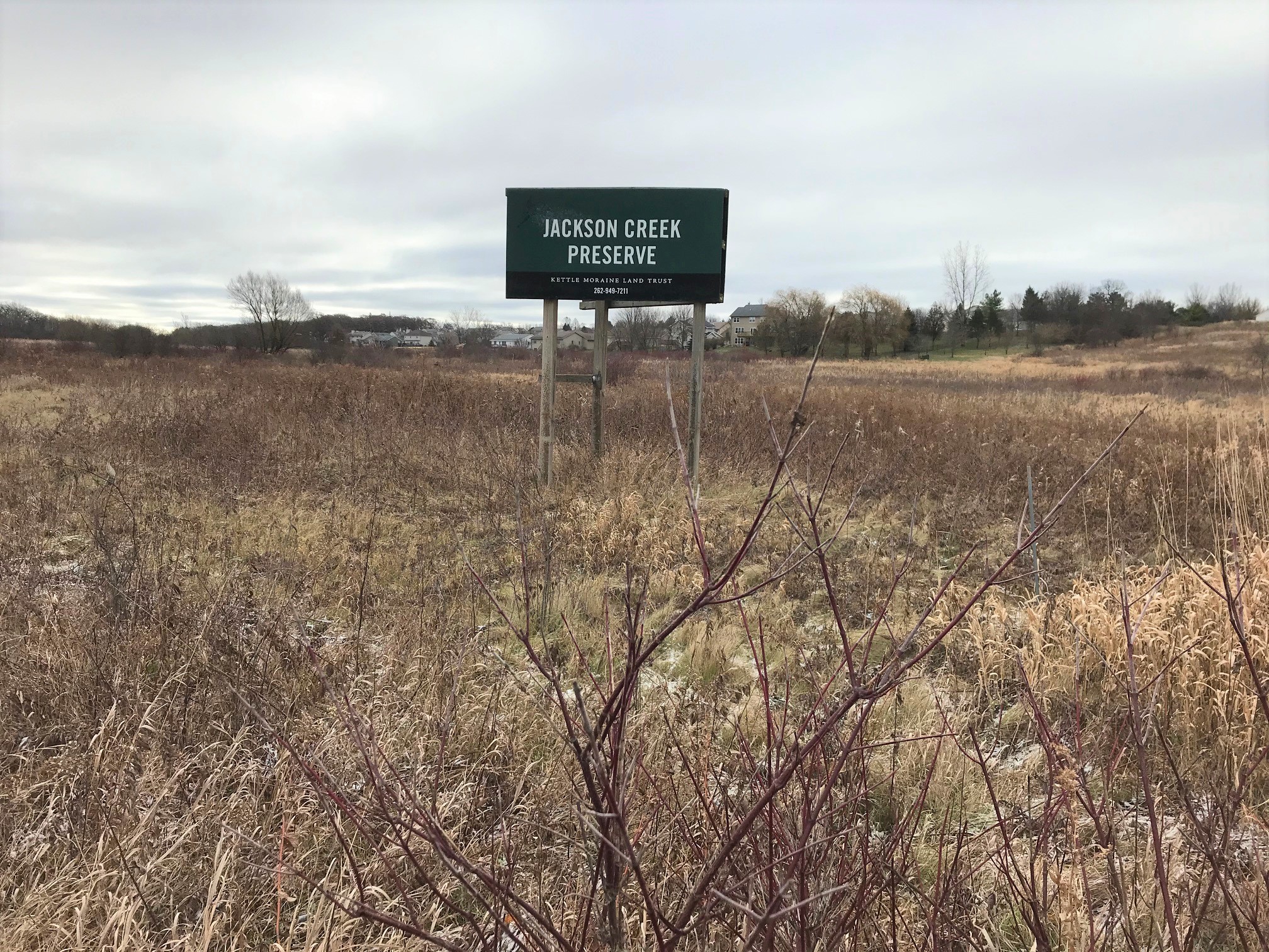 4th Saturday Stewardship at Jackson Creek Preserve Kettle Moraine