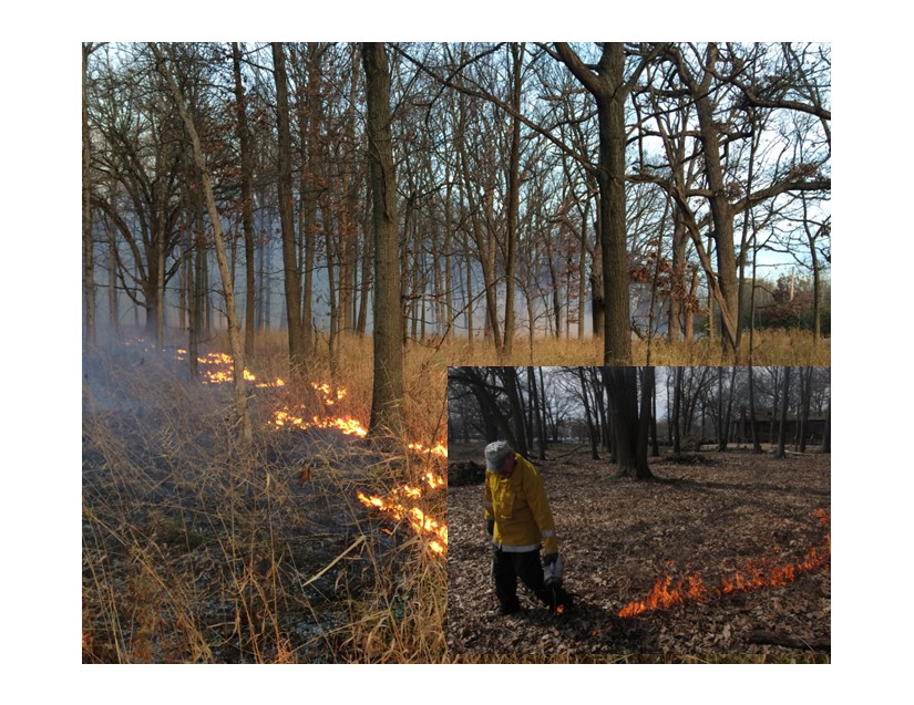 Controlled Burn Season Kettle Moraine Land Trust